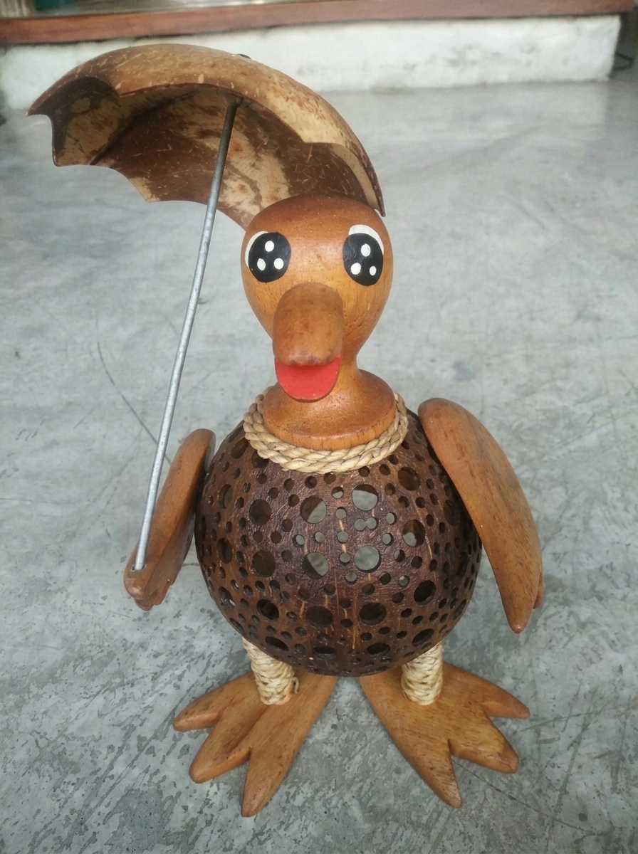 Coconut Shell Ducks