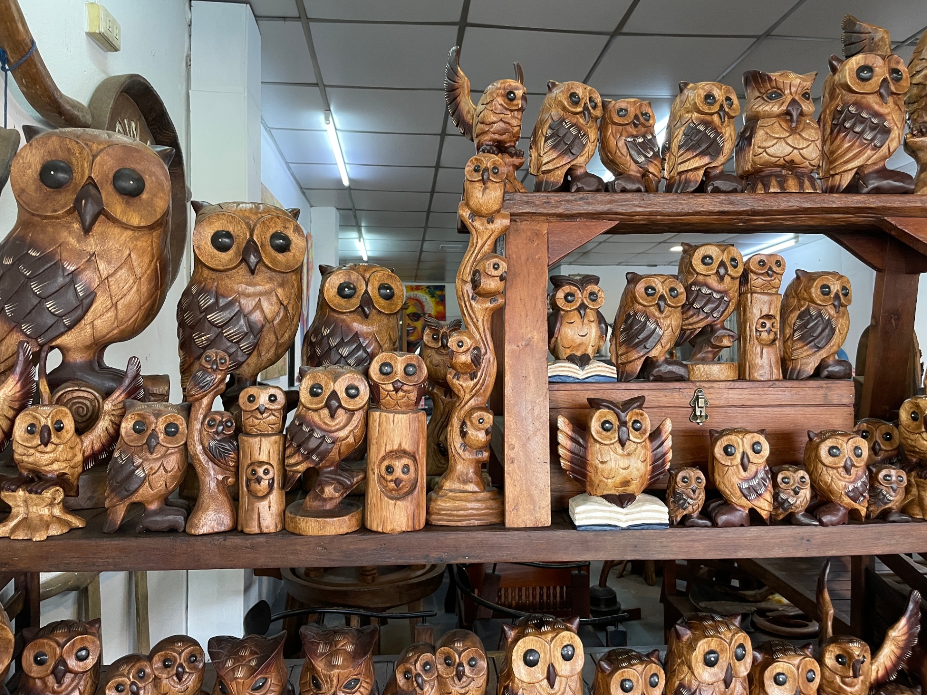 Carved Wooden Owls